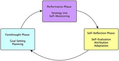 “Because I'm Bad at the Game!” A Microanalytic Study of Self Regulated Learning in League of Legends
